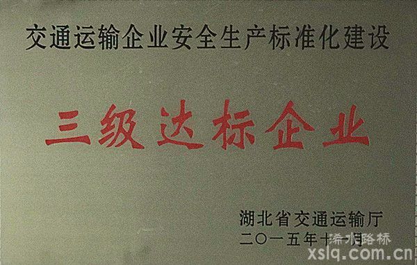 2015年省交通運輸企業(yè)安全生產(chǎn)標準化建設(shè)：三級達標企業(yè)