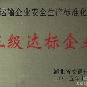 2015年省交通運輸企業(yè)安全生產(chǎn)標準化建設：三級達標企業(yè)