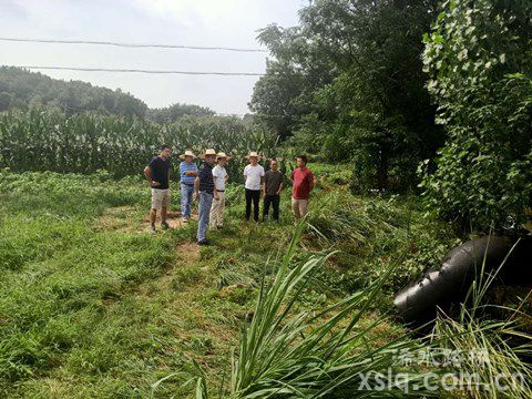 固基防汛，路橋公司全力保障公路暢行